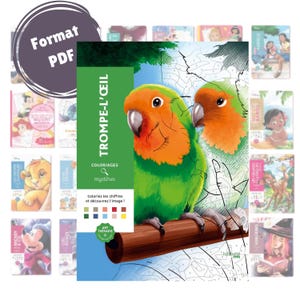 Printable Coloring by Numbers PDF – 100 Mystery Coloring Pages for Adults and Kids