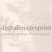 Digitalimagesprint store logo