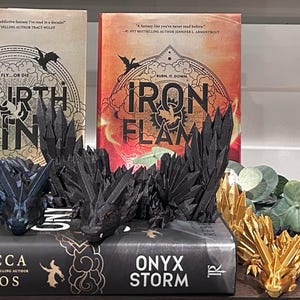 NEW!!! Fourth Wing Bookshelf Dragons