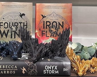 NEW!!! Fourth Wing Bookshelf Dragons