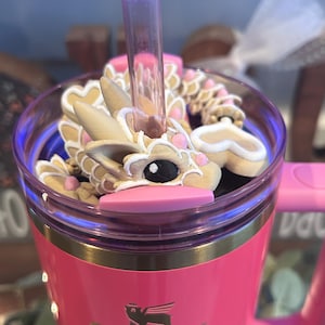 NEW! Heart Sugar Cookie Dragon Stanley Straw topper