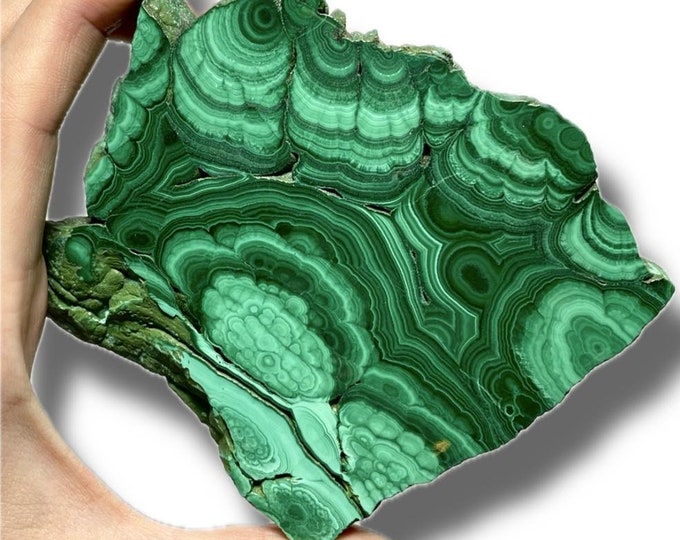 Polished Malachite Slab | Green Banded Collector Crystal | High Quality Malachite Slices | Unique Crystal Collector Specimens | You Pick!