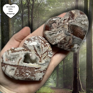 May include: Two heart-shaped stones with intricate patterns of brown, gray, and white. One heart has a cavity. The stones are held in a hand. The background is a forest scene.