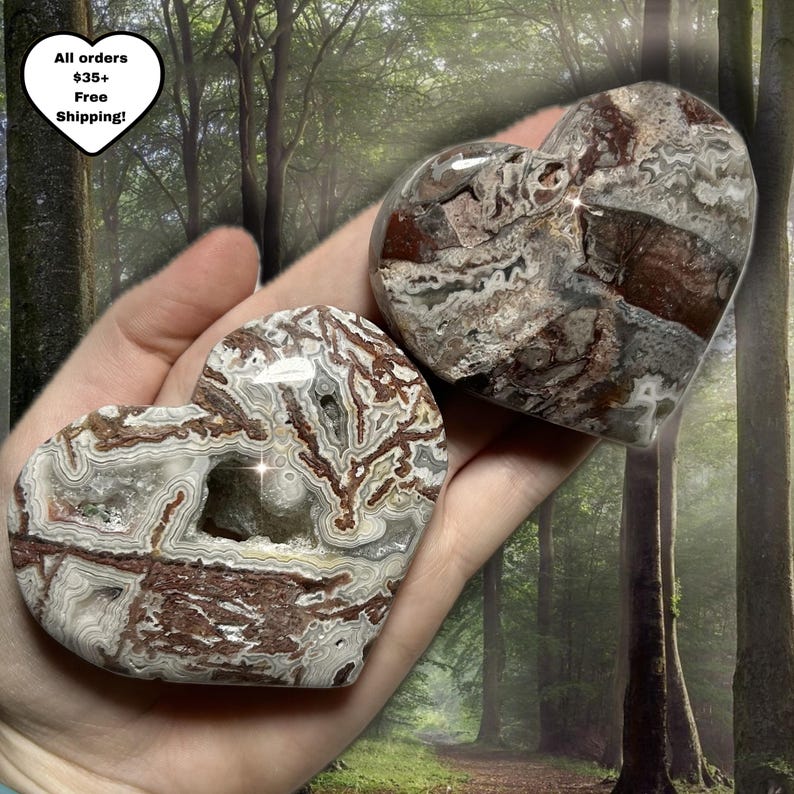 May include: Two heart-shaped stones with intricate patterns of brown, gray, and white. One heart has a cavity. The stones are held in a hand. The background is a forest scene.