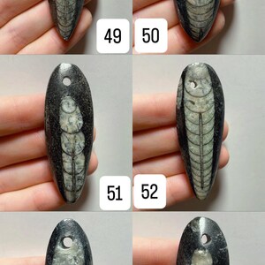 May include: A collection of fossil pendants, each approximately 2 inches in length, featuring a distinct internal pattern. The pendants are dark gray with a light gray and green fossil design. Each pendant has a small hole at the top.