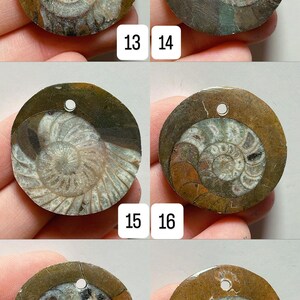 May include: A collection of six fossilized ammonite pendants, each approximately 1.2 inches in diameter, with a spiral pattern. The pendants have a hole for stringing and are numbered 13 through 18.