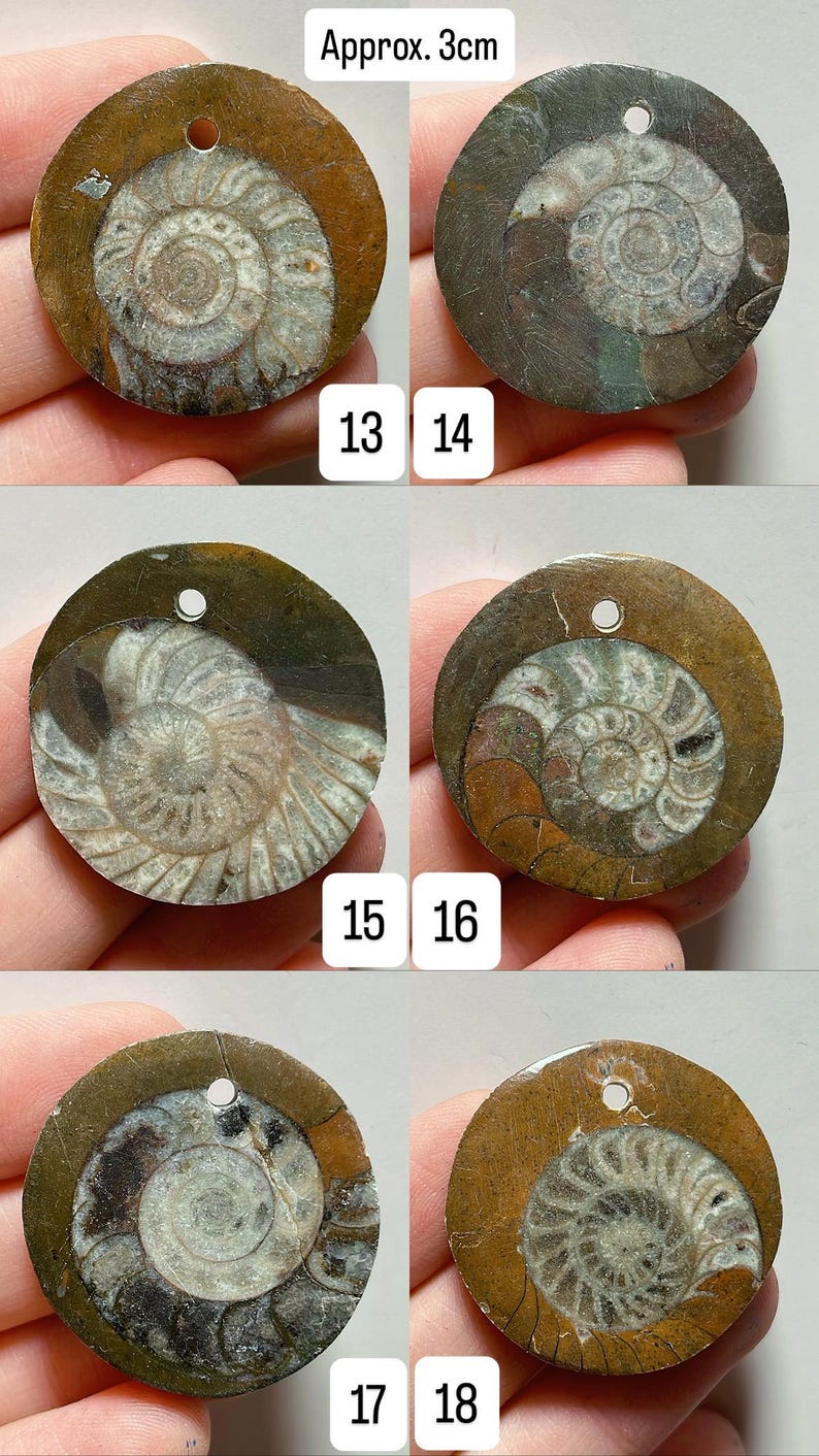 May include: A collection of six fossilized ammonite pendants, each approximately 1.2 inches in diameter, with a spiral pattern. The pendants have a hole for stringing and are numbered 13 through 18.