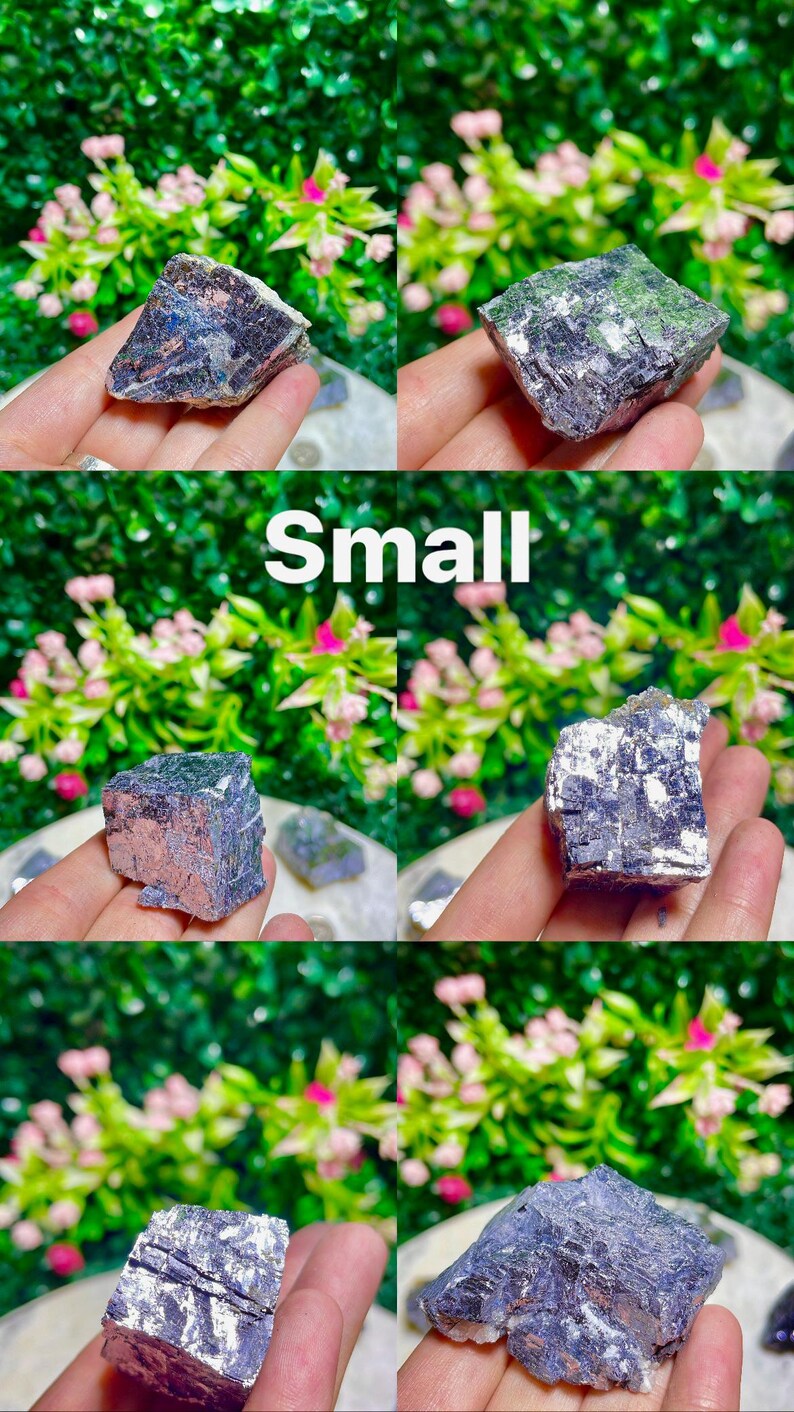 Puede incluir: Cinco cristales de galena en bruto de diferentes tama&ntilde;os, de color gris met&aacute;lico. Los cristales tienen una superficie brillante e iridiscente. Los cristales se muestran en una mano.