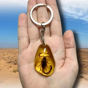 Faux Amber Scorpion Keychain | Real Scorpion in Resin | Insect Specimen Key Ring | Bug Gift | Oddities Decor | Halloween Curio Decor