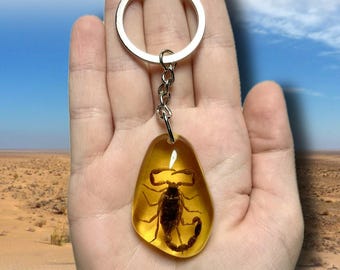 Faux Amber Scorpion Keychain | Real Scorpion in Resin | Insect Specimen Key Ring | Bug Gift | Oddities Decor | Halloween Curio Decor