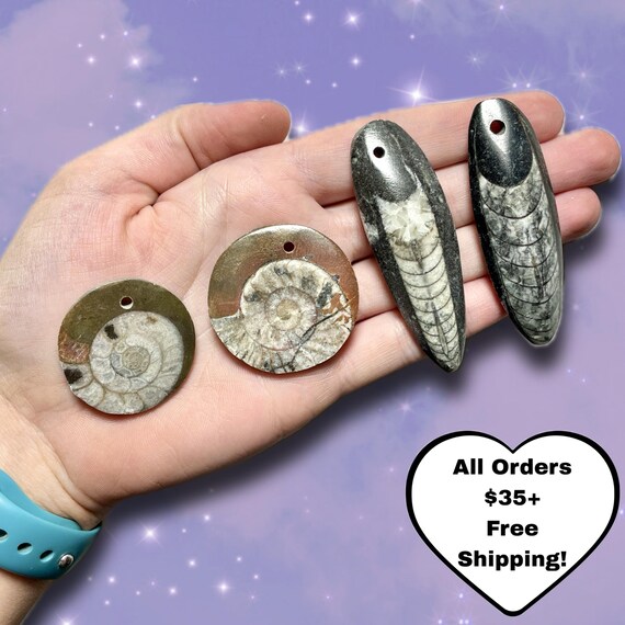Ammonite Circle Pendants | Orthoceras Fossil Pendants | Unique Fossil Jewelry | Healing Stone Necklace | Natural Fossil Jewelry | You Pick!