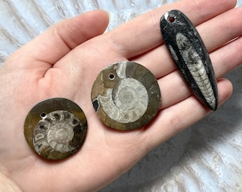 Ammonite & Orthoceras Fossil Pendants | Polished Prehistoric Necklace | Unique Natural Stone Jewelry | Ancient Earth Pendants for Gifts