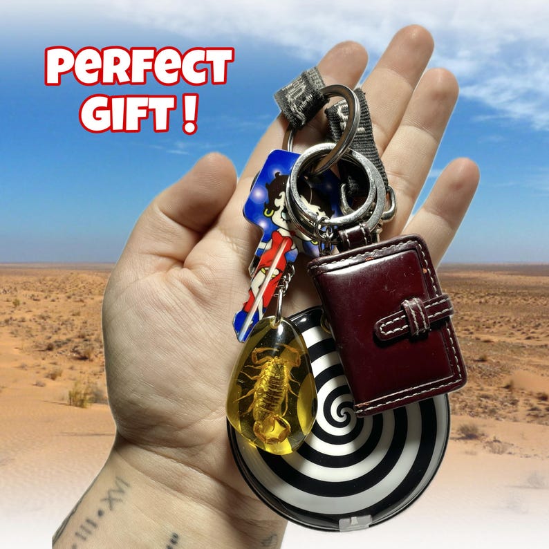 May include: A selection of keyrings, featuring a small burgundy leather notebook, a black and white spiral design, and a scorpion in amber. The keyrings are attached to a silver ring.