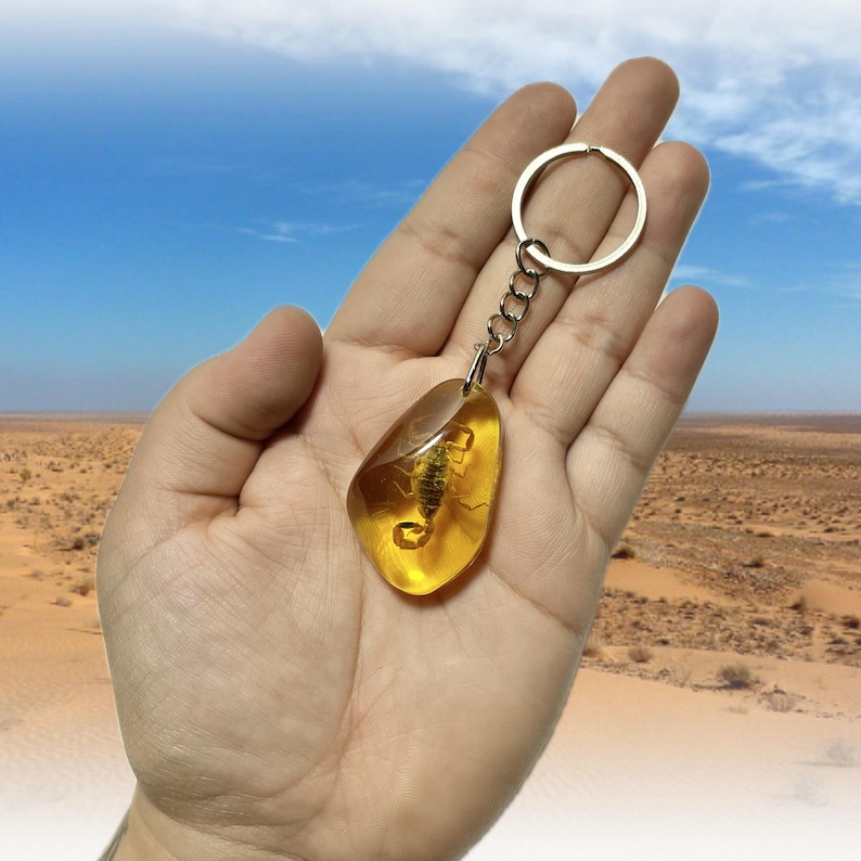 May include: A keychain with a teardrop-shaped amber pendant, containing a scorpion. The amber is a translucent yellow-orange hue, with the scorpion clearly visible. The keychain has a silver-coloured ring and chain.