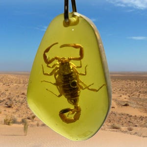 May include: A teardrop-shaped amber pendant with a golden scorpion preserved inside. The amber is suspended by a metal loop. The background shows a desert landscape under a blue sky.