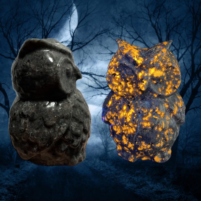 K&ouml;nnte beinhalten: Zwei Eulenfiguren. Eine ist ein dunkelgrauer Stein, die andere ein blau und orange gesprenkelter Stein. Die Eulen sind vor dem Hintergrund einer mondbeschienenen Nacht mit kahlen B&auml;umen platziert. Die Eulenfiguren sind detailliert und dekorativ.