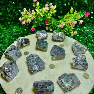Puede incluir: Una colecci&oacute;n de 10 cristales de galena en bruto, sin pulir, de color gris plateado sobre una superficie circular blanca. Los cristales son de varios tama&ntilde;os y formas, algunos tienen un ligero tono verde.