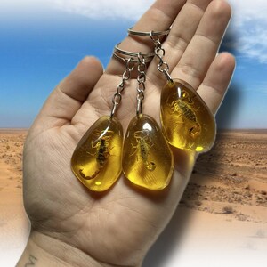 May include: Three keyrings with amber-coloured pendants, each containing a preserved scorpion. The pendants are teardrop-shaped and attached to silver-coloured key rings. The background shows a desert landscape under a blue sky.