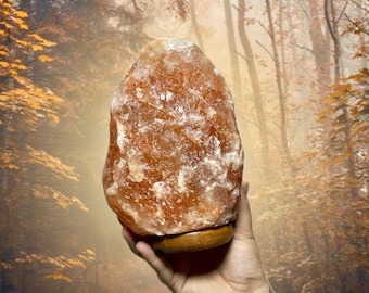May include: A large, orange Himalayan salt lamp with a rough, textured surface. The lamp sits on a round, wooden base. The background is a blurred image of a forest with autumn colors.