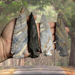 May include: Four stone arrowheads in varying colors of gray, black, and brown are displayed. Each arrowhead has a distinct pattern and shape, showcasing the natural variations in the stone. The arrowheads are held in a hand.