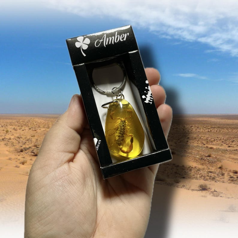 May include: A keychain with a scorpion preserved in amber. The amber is a translucent yellow-orange hue, attached to a silver-coloured keyring. The keychain is displayed in a black box, with the word "Amber" printed on the top.
