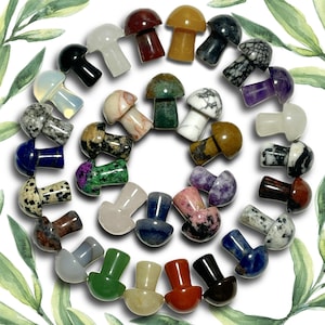 Mini Crystal Mushrooms | Mixed Crystal Mushrooms Carvings | Cute Mini Crystal Decor | Unique Crystal Gift or Collectible | You Pick Stone!