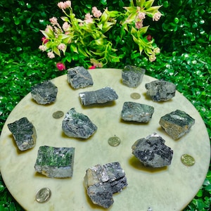 Puede incluir: Una colecci&oacute;n de 10 espec&iacute;menes minerales verdes y negros sobre una superficie circular blanca. Los espec&iacute;menes minerales son de varios tama&ntilde;os y formas.