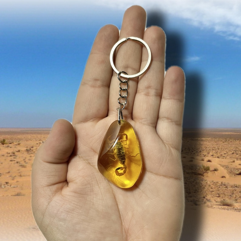 May include: A keychain with a teardrop-shaped amber pendant containing a scorpion. The amber is a translucent golden-brown colour, and the scorpion is visible within. The keychain has a silver-coloured metal ring and chain.