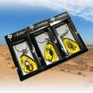 May include: Three amber keyrings, each featuring a preserved scorpion encased in clear, yellow resin. The keyrings are presented in black boxes labelled "Amber", set against a desert landscape.