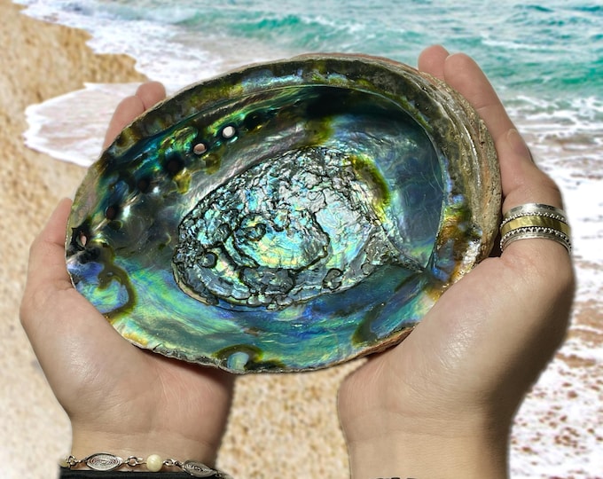 Natural Iridescent Abalone Shells | Smudging Bowl for Sage, Cleansing, Rituals & Decor | Healing Energy Work | Ethically Sourced | You Pick!