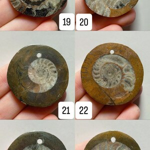 May include: A collection of six fossilized ammonite pendants, each approximately 3cm in diameter, with a central spiral pattern. The pendants are various shades of brown, gray, and tan, with a hole drilled at the top for hanging. Numbers 19-24 are displayed.