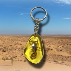 May include: A silver-coloured keyring with a yellow, teardrop-shaped resin pendant. Inside the resin is a dark brown scorpion. The background shows a desert landscape.