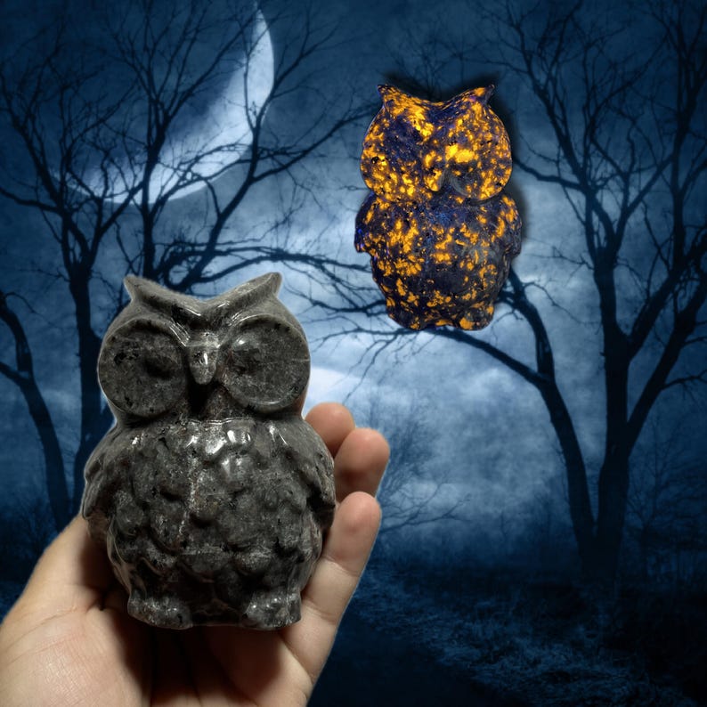 K&ouml;nnte beinhalten: Eine geschnitzte graue Eulenfigur wird in einer Hand gehalten, mit einer zweiten Eulenfigur im Hintergrund. Der Hintergrund zeigt eine dunkelblaue Nachtszene mit Vollmond und silhouettierten B&auml;umen. Die zweite Eule hat ein blau-oranges Muster.