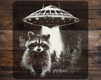 Space Raccoon DTF Transfer: Funny Sarcastic Raccoon Ready To Press