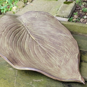 May include: A ceramic leaf-shaped serving dish with a green glaze and detailed veining. The dish is resting on a wooden surface.