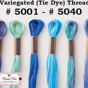コスモ ルシアン シーズンズ (5000 番) 多色刺繍{No.25) フロス/糸 8.75 ヤード (8 メートル) 6 ストランド かせ、{タイダイ、マーブル} 5001-5040