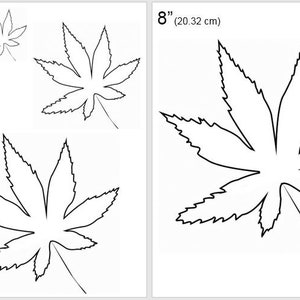 Può includere: Quattro disegni in bianco e nero di foglie d'acero di diverse dimensioni. Le foglie misurano 2 pollici, 4 pollici, 6 pollici e 8 pollici. L'immagine include misure in pollici e centimetri.