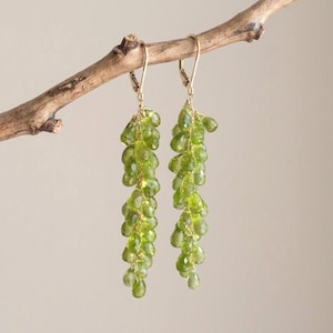 May include: A pair of long dangle earrings featuring multiple faceted, teardrop-shaped green peridot gemstones suspended from gold-toned metal chains and lever-back closures. The stones are arranged in a cluster formation, creating a cascading effect.