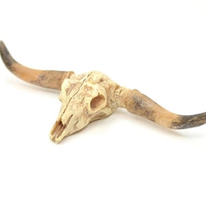 Old West Dry Cattle Skull | Miniature Railroad Figurines | Diorama Railroad Accessory | Miniature Cattle Skull - 118-1008