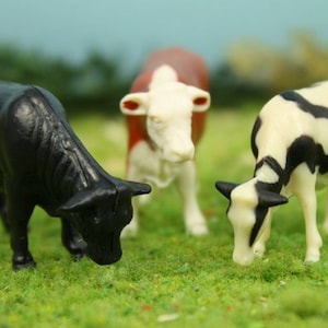 Miniature Cattle Assorted Set of 6 | Farm Animal Miniature | Angus - Hereford- Holstein Cattle | German Import- 102-2038