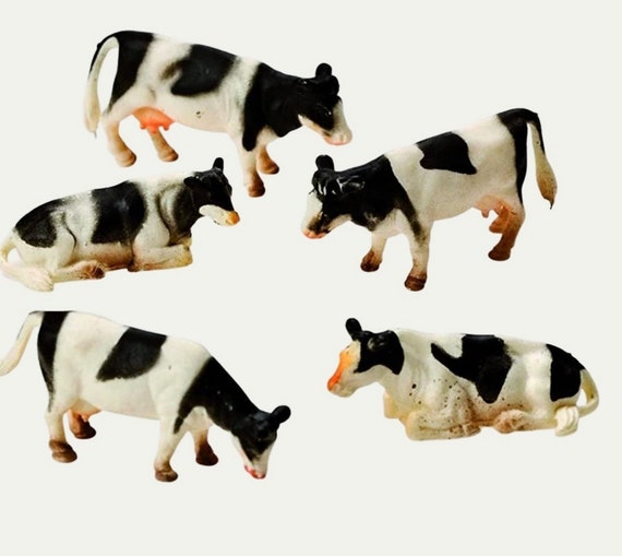 Miniature Cattle