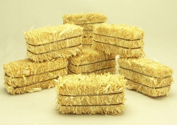 Generic Mini Hay Bales Decoration (16-ct) Small Decorative Hay for Crafts/Dollhouse/Toy/Farm/Stables/Halloween/Table/Decor/Decoration/Decorative