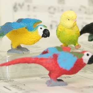 Colorful Exotic Bird Miniature Set of 12 | Hand Painted Tropical Birds | Dollhouse Miniature Figures  - 268-0404