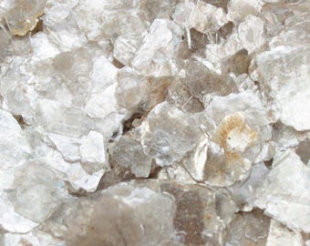 Natural Pearl Mica Flakes Art Glitter | Cardmaking | Scrapbooking | Mixed Media Project | Nail Art Decal - 311-4330