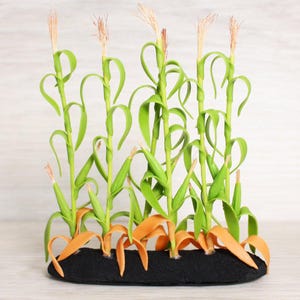 Hand Molded Corn Stalks Miniature | Cargo To Go - G Scale - Corn Stalks | Farm Fresh | Dollhouse Miniature -101-0849