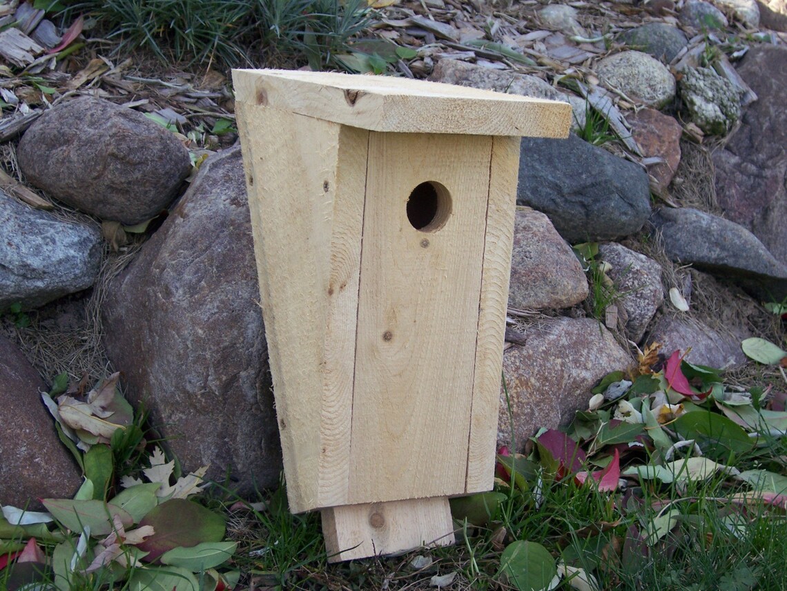 Birdhouse Kit Bluebird Bird House Peterson Style Natural Cedar Etsy