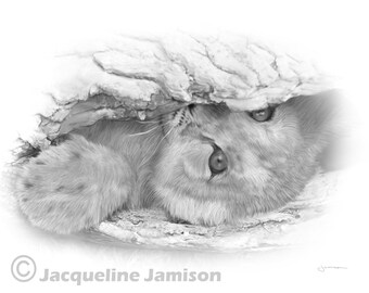 Original Art, 8x10, Lion Cub, Peeking Out, Digital Illustration