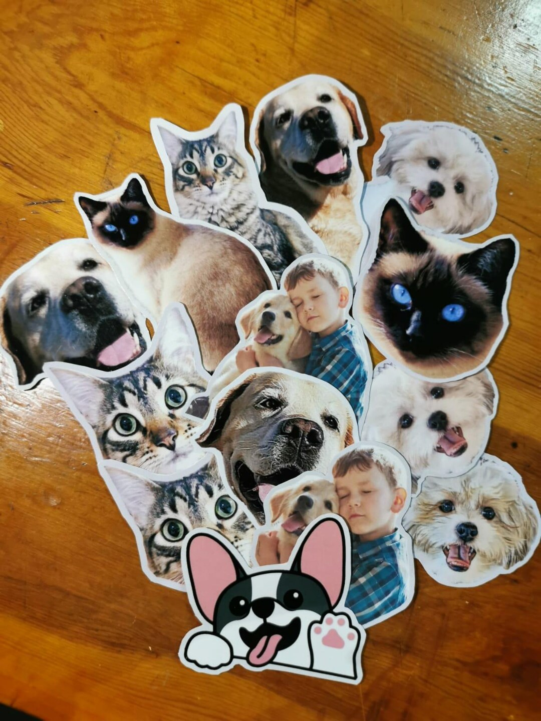 Sticker Perro Do Custom Pet Stickers, Personalized Stickers for Dogs, Cats, Children ...