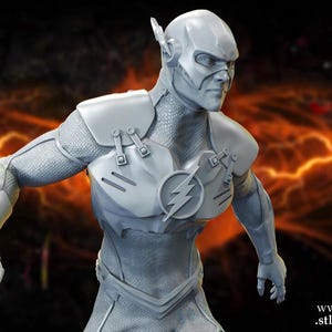 Flash Figure - Sanix