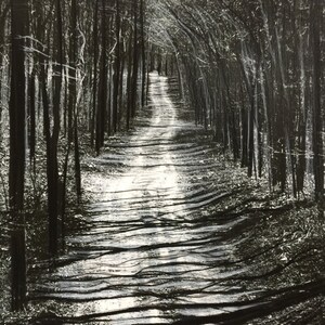 Black and White Landscape Photography: Signed Original Art, Winter Road